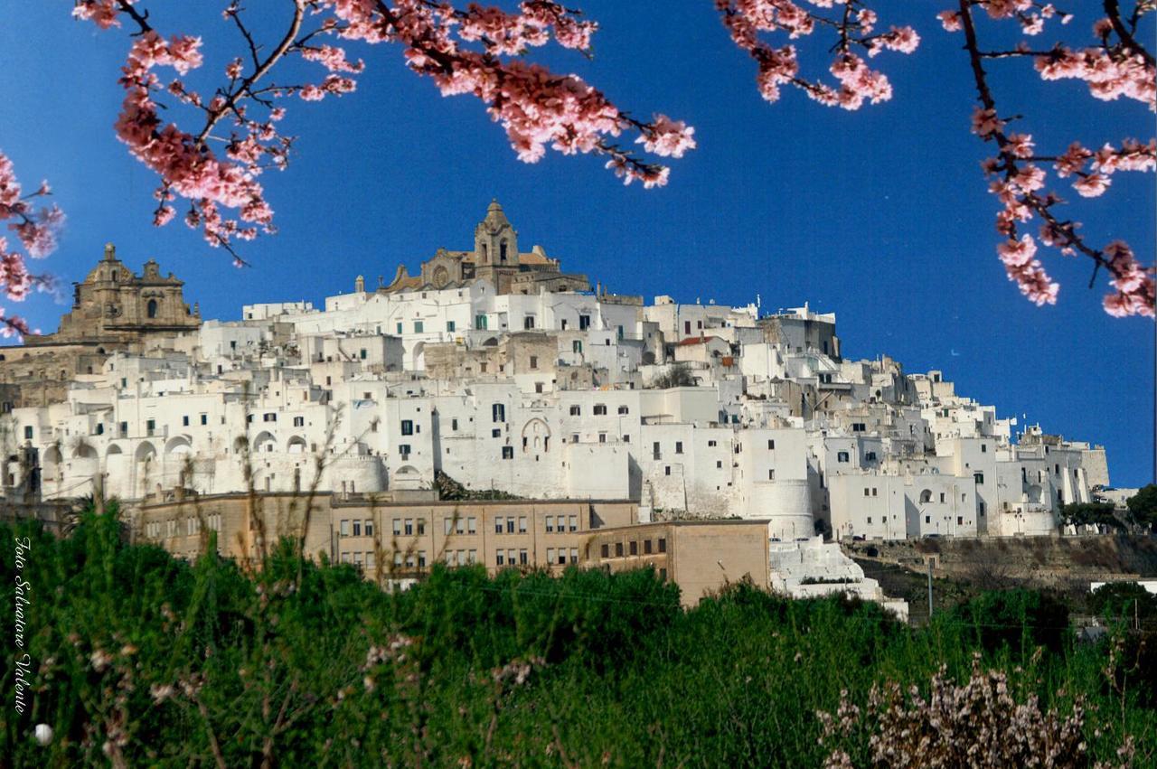 Willa Casa Carlotta Ostuni Zewnętrze zdjęcie